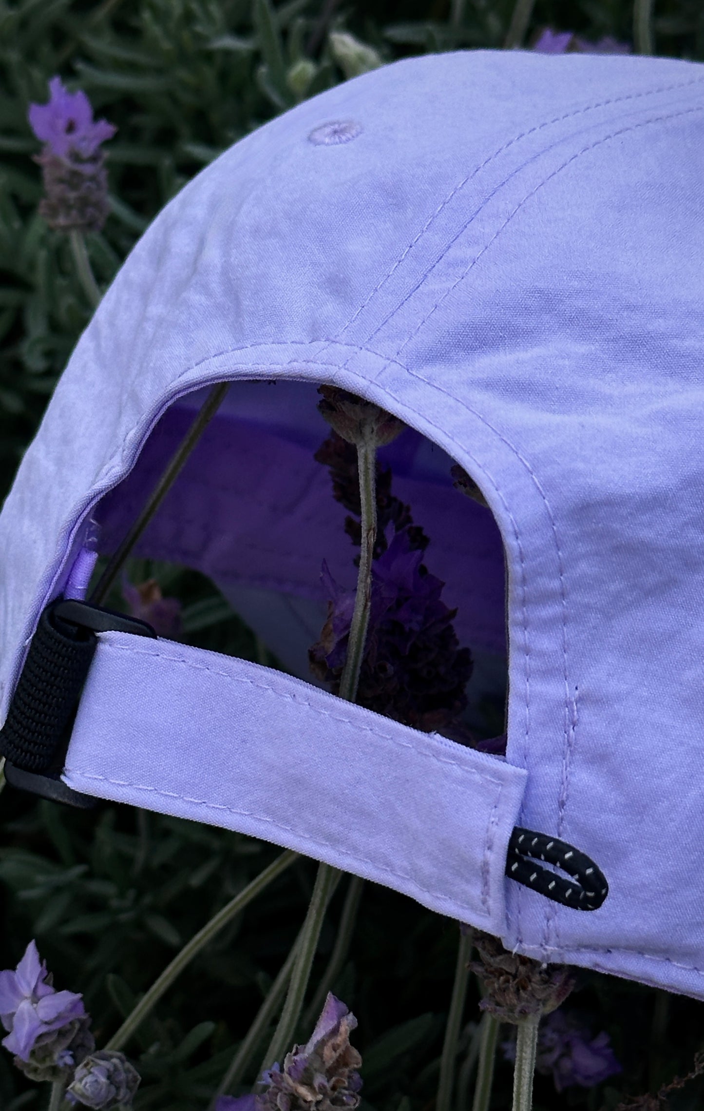 Gorra Lavanda