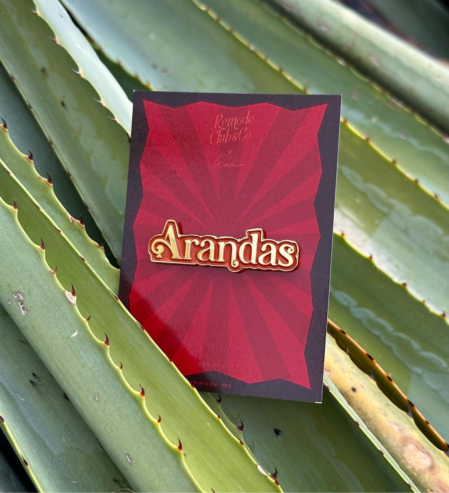 Pin Arandas