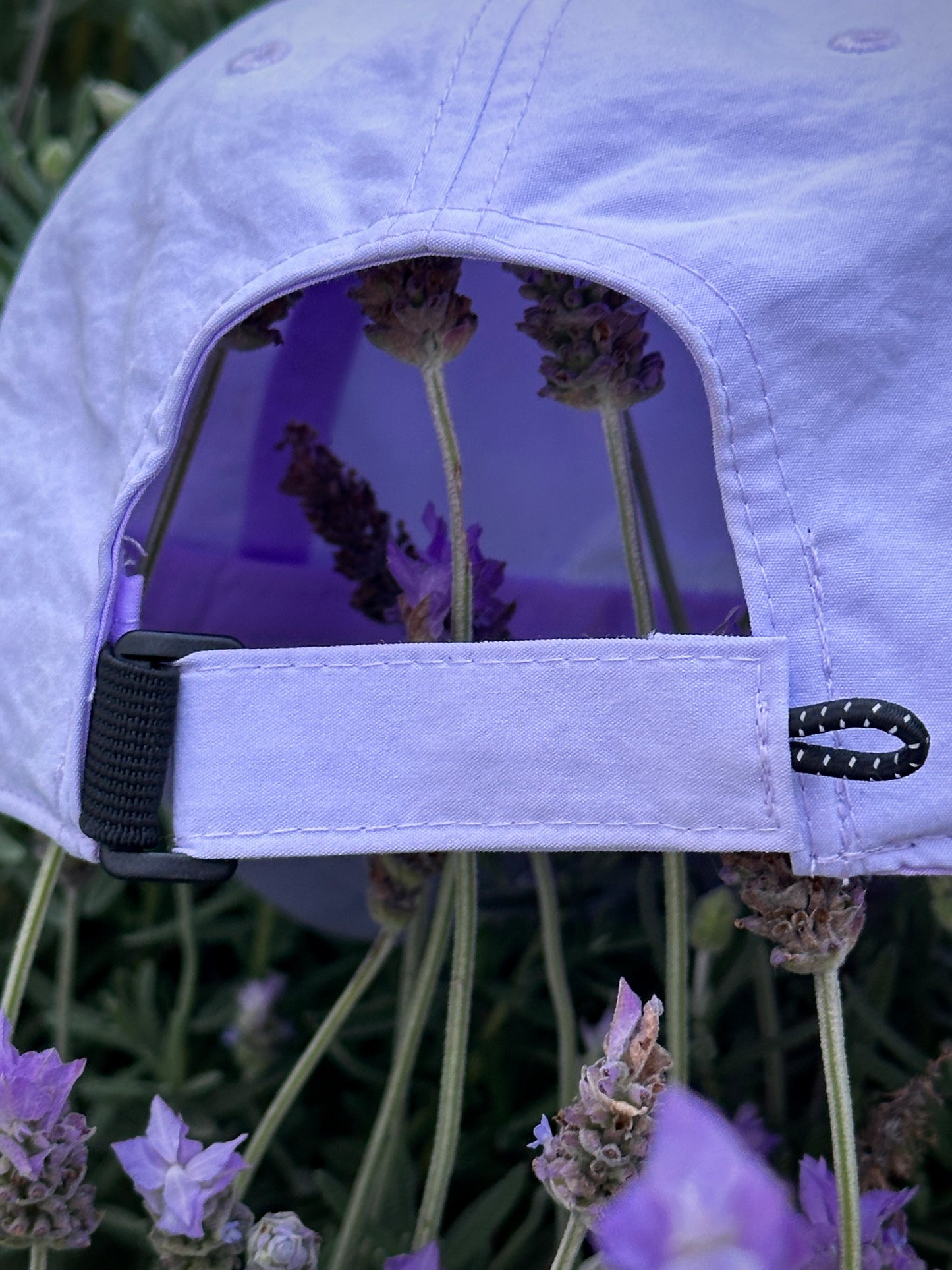 Gorra Lavanda