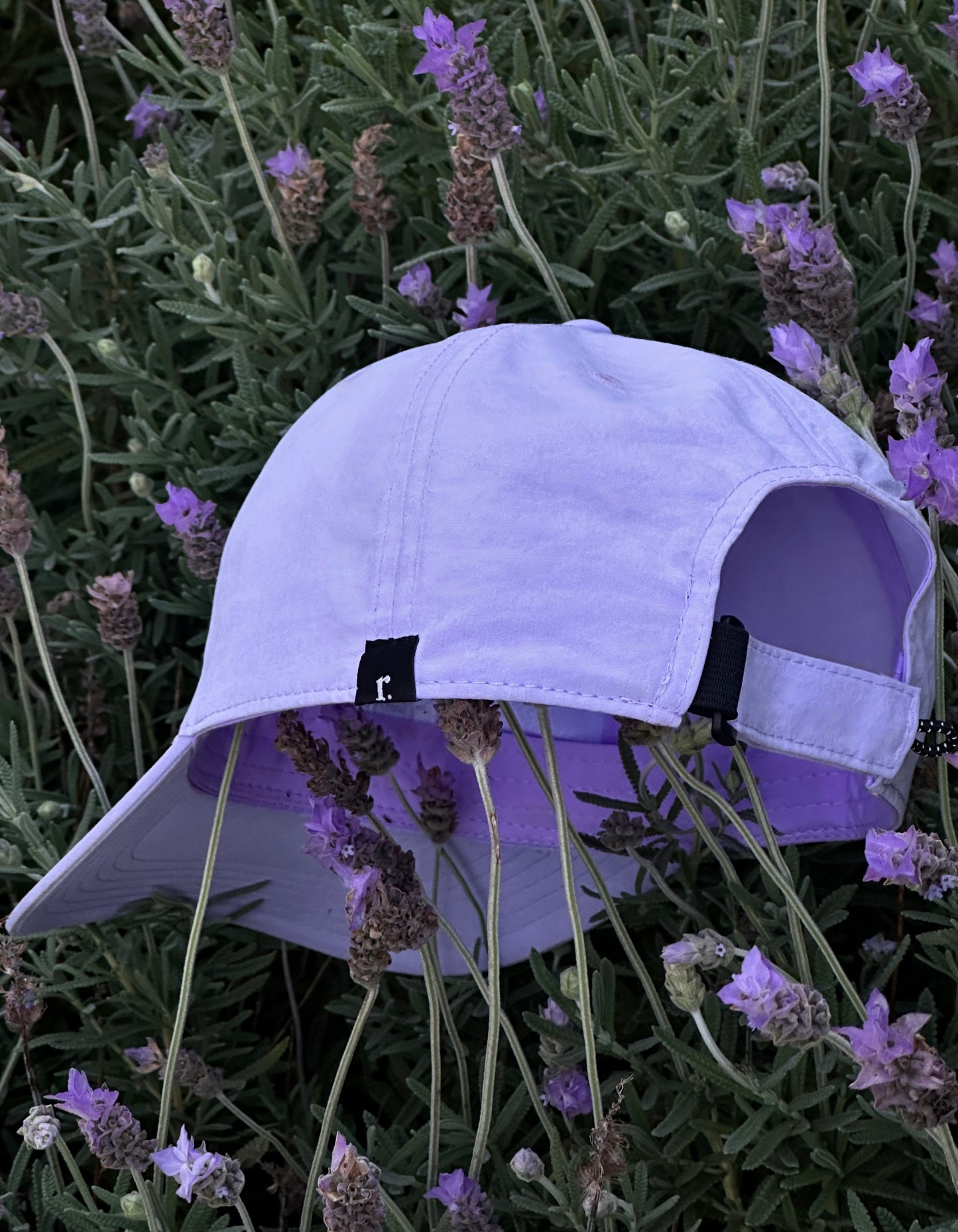 Gorra Lavanda